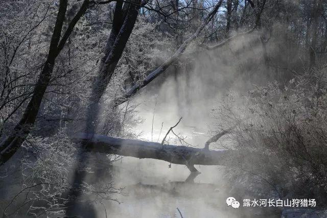 港股大金融股震荡走强 招商银行涨超7%