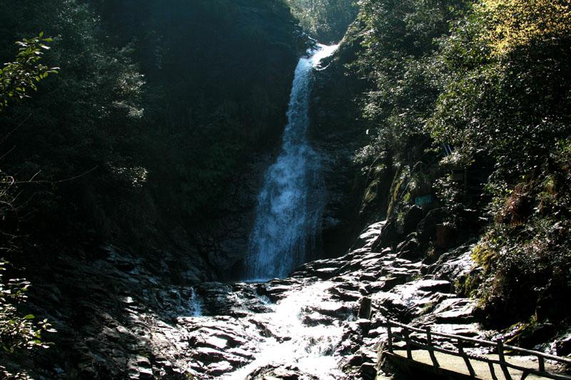 小企鹅逃生